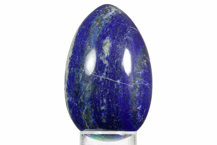 Polished Lapis Lazuli Egg - Pakistan #352500